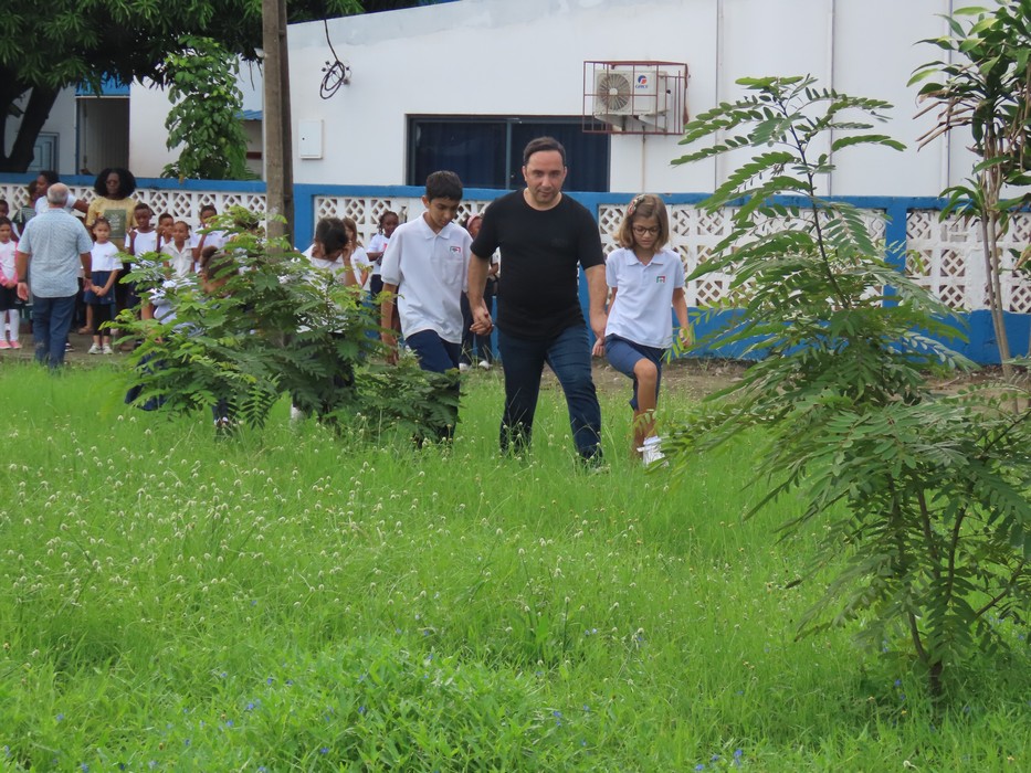 dia da arvore 2